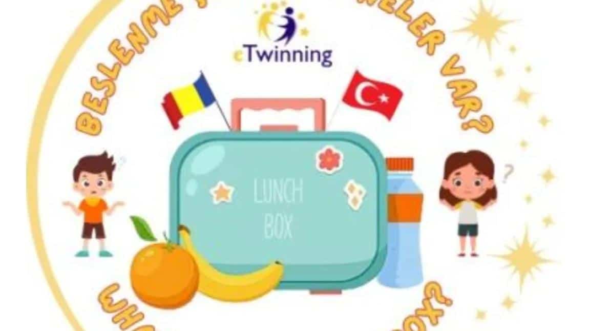 What is my lunchbox Beslenme Çantamda Neler Var E Twining Projesi okulumuzda başlamıştır.
